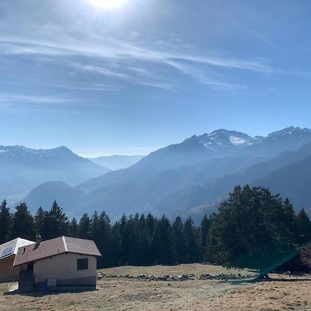 Baita delle Favole di RosaRita Berbenno di Valtellina Esterno foto
